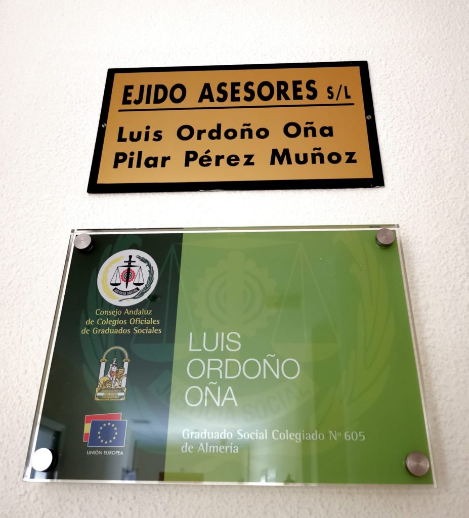 Placa ejidoasesores